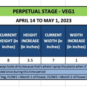VEG1 (Patsy) - April 14 to May 1, 2023.jpg