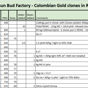 Colombian Gold RDWC Tracker.png