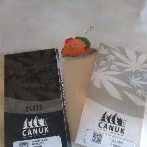 Thanks, Canuk!