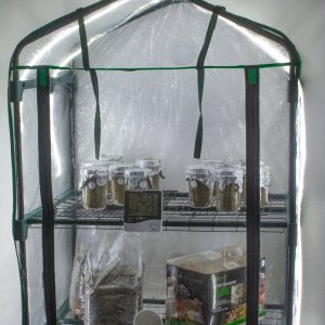 Midwest Grow Kit COB strip temporary placement.jpg