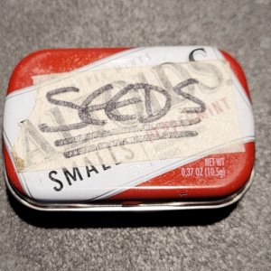 20231113_204828 Sandpaper seed tin.jpg