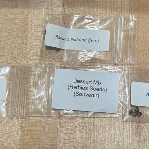 Herbies Seeds Prize