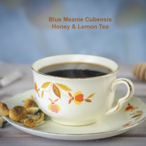 Blue Meanie Mushroom Honey & Lemon Tea.jpg