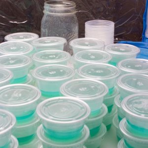 Agar plates in condiiment containers-4.jpg