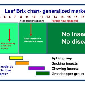 Leaf-Brix-Chart-with-insect-groups.jpg