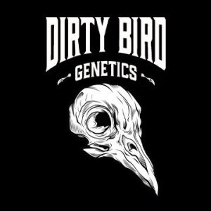 Dirty Bird Genetics