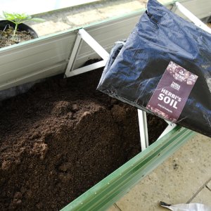 Top Layer - Herbi's living soil