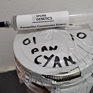 Grain Jar Pan Cyan 01-10.jpg