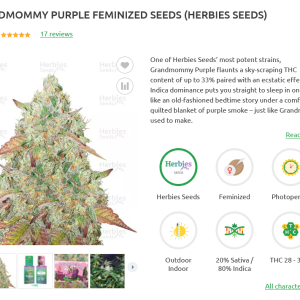 Screenshot 2024-02-06 at 17-16-56 Grandmommy Purple fem seeds for sale strain information and ...png