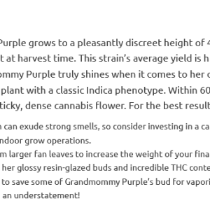 Screenshot 2024-02-06 at 20-25-19 Grandmommy Purple fem seeds for sale strain information and ...png