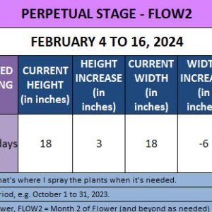 420 Update for Lana - February 4 to 16, 2024.jpg