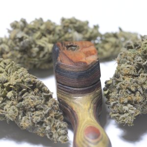 pipe and buds.JPG