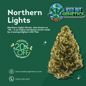 Northern Lights IOG 2024.gif