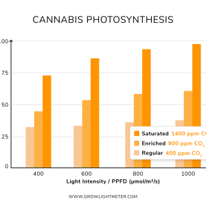 cannabis-co2-ppfd.png