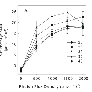 Chandra - Cannabis photosynthesis vs PPFD and Temp.png