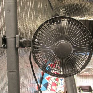 6 inch circ fan.JPG