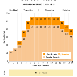 cannabis-dli-cycle-autos-1 (1).png