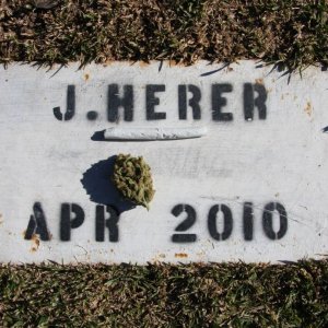 Jack Herer's One Year Anniversary