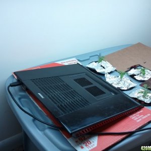 laptop fan
