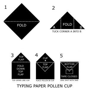 TYPING-PAPER-POLLEN-CUP