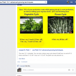 facebook buds Joe Pietri