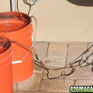 Compost Tea Bucket and Air Pump