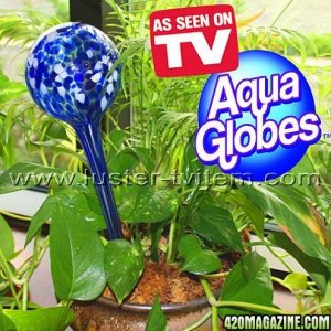 Hand_Blown_Aqua_GlobeAqua_Globes_Water_Wizard