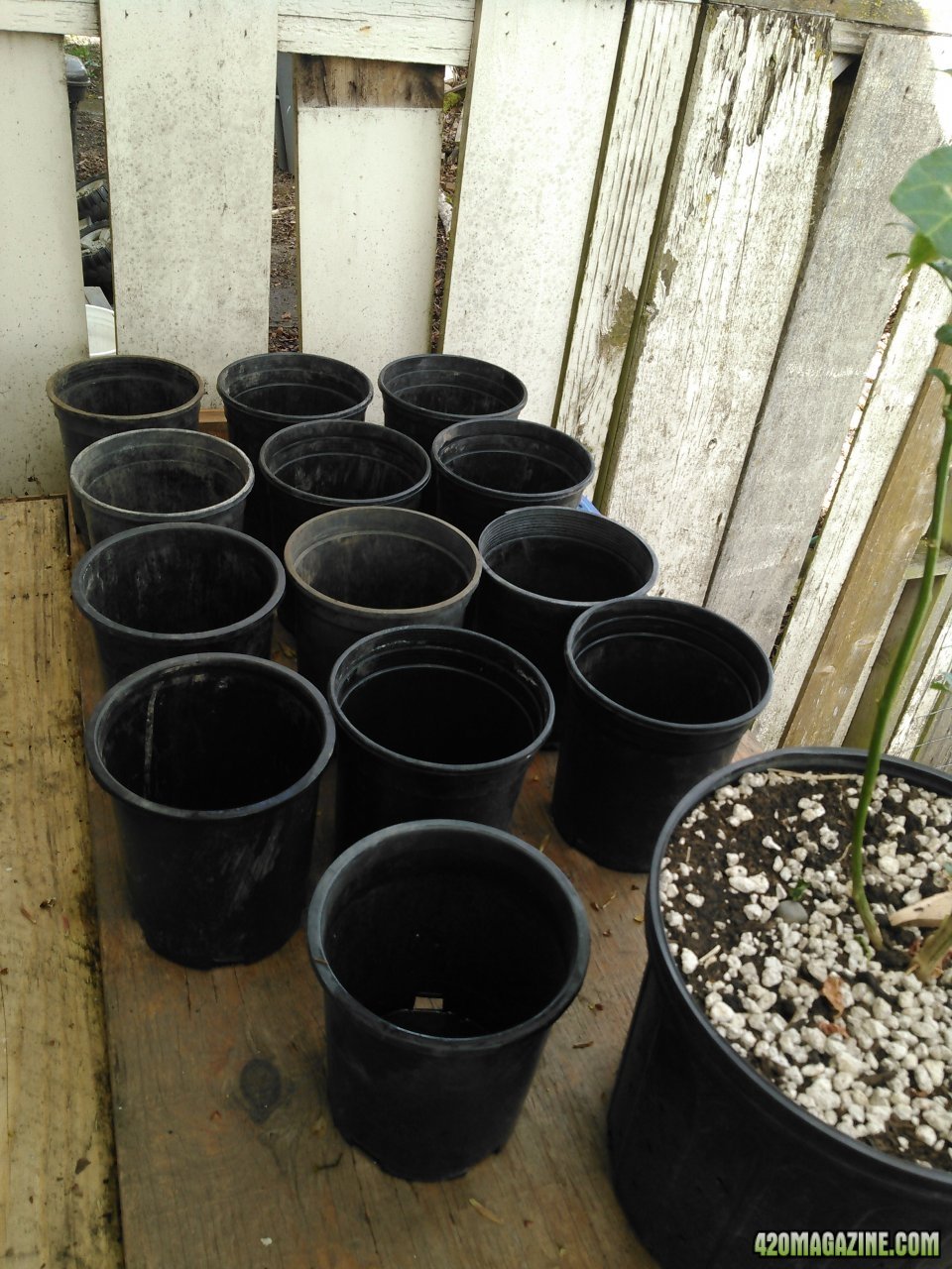 2 Litre/ half gallon pots for UDs