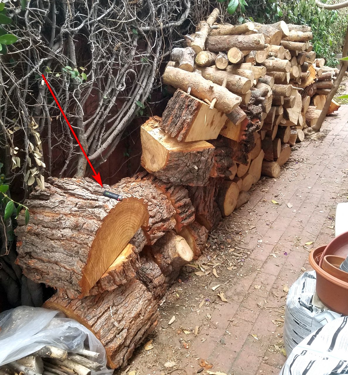 20210413_075454 firewood.jpg