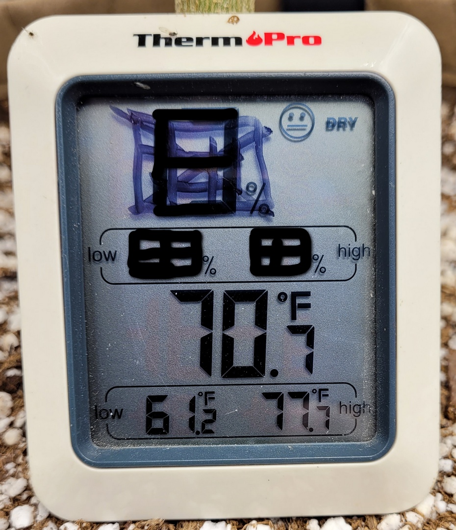 20211219_083529 shed temps.jpg