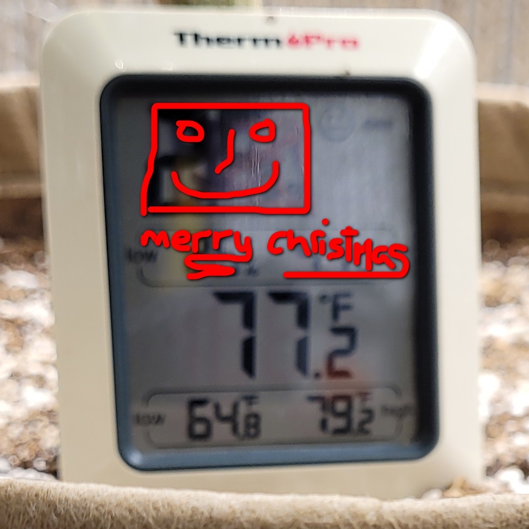20211223_082504 shed temps.jpg