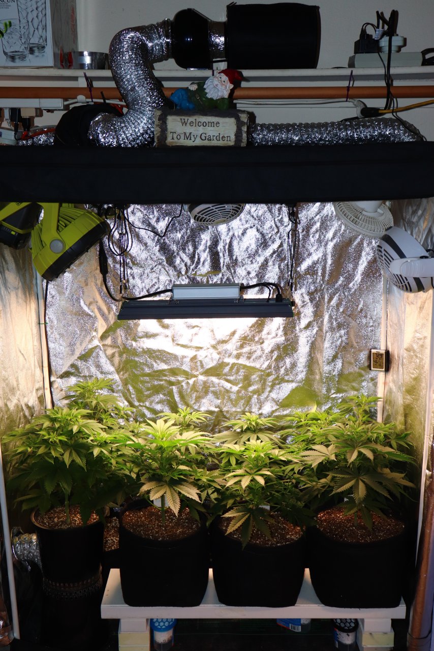 2022-23 Indoor Winter/Closet Grow feat. ViparSpectra P2000 LED Light w/Dimmer