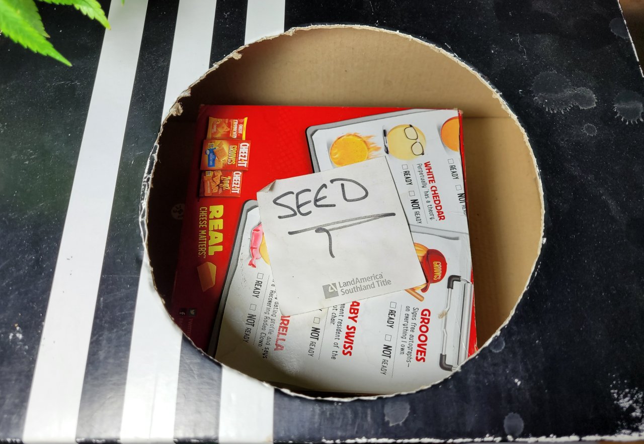 20221106_201914 seed box in shoebox.jpg