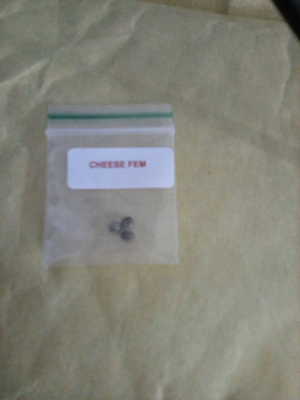 3 Cheese From Seedsman