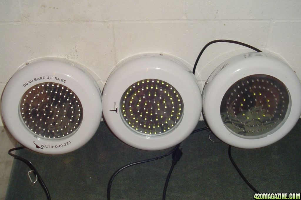 3 Purchased LED's for testing