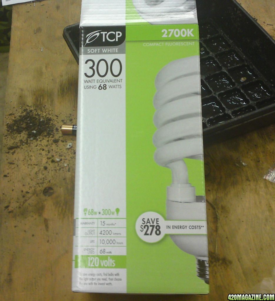 300 watt CFL