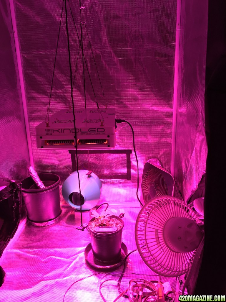 3x3 LED Grow Tent