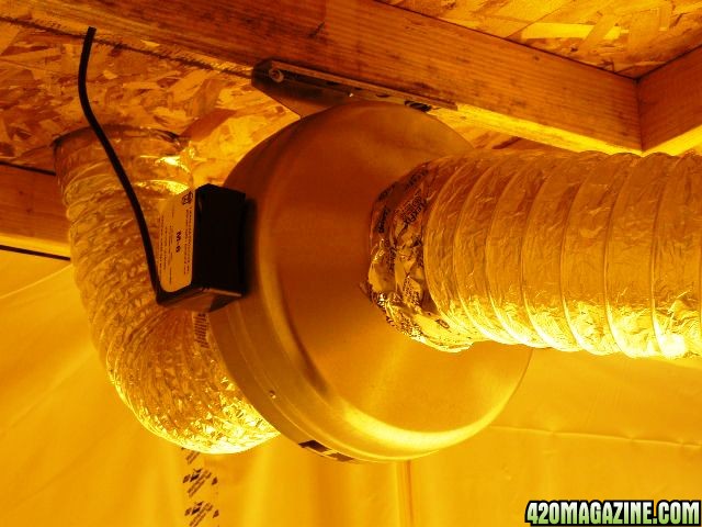 600 CFM duct fan cooling the lights