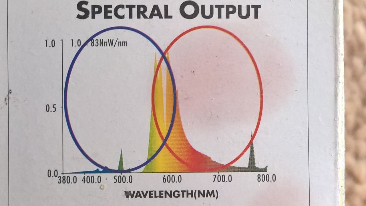 600w Dual Spectrum HPS output