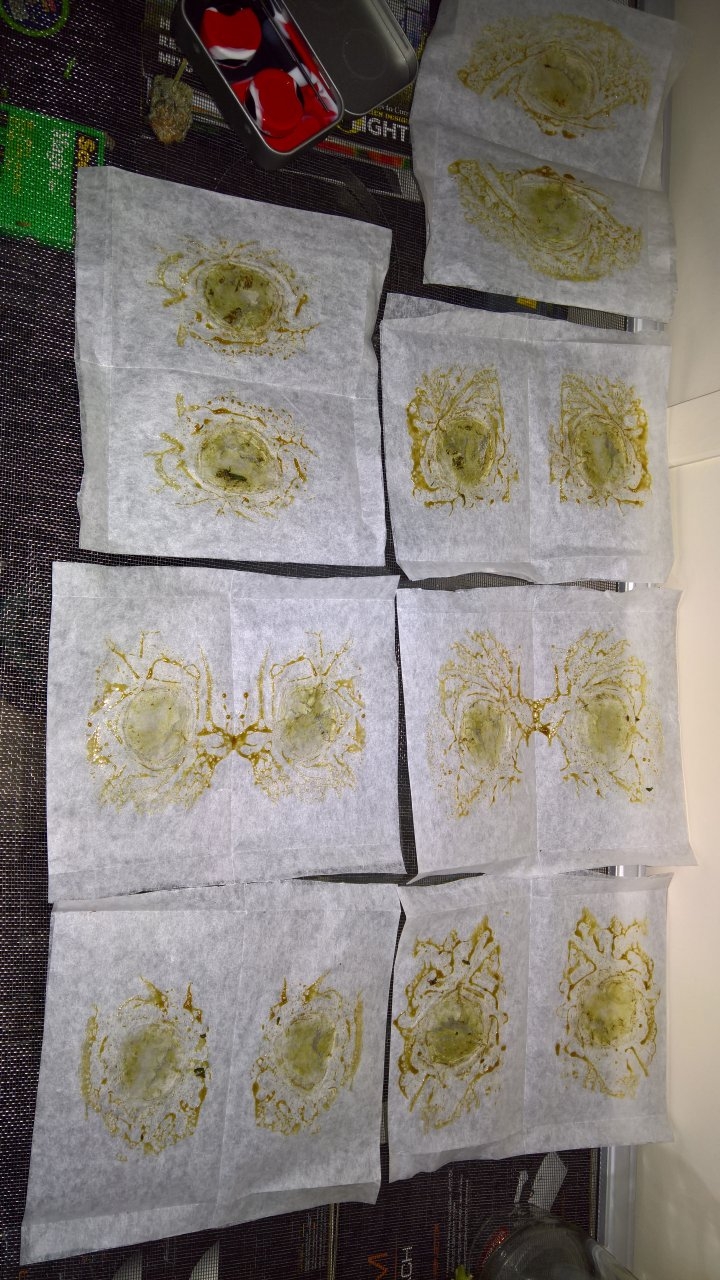 7 presses of Rosin to collect.