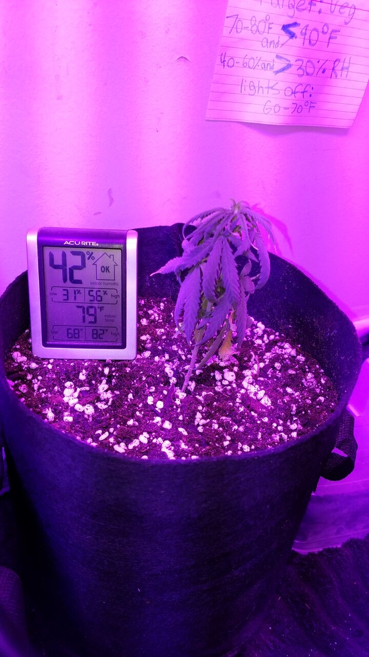 7w failed LST plant after emergency down-pot
