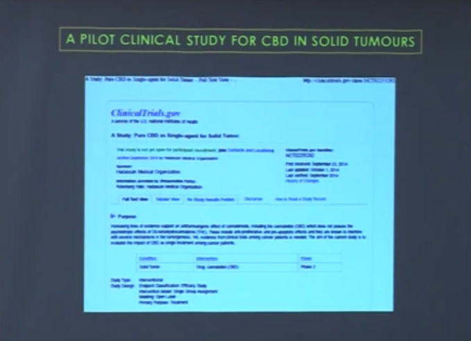 A pilot clinical study for CBD in solid tumours