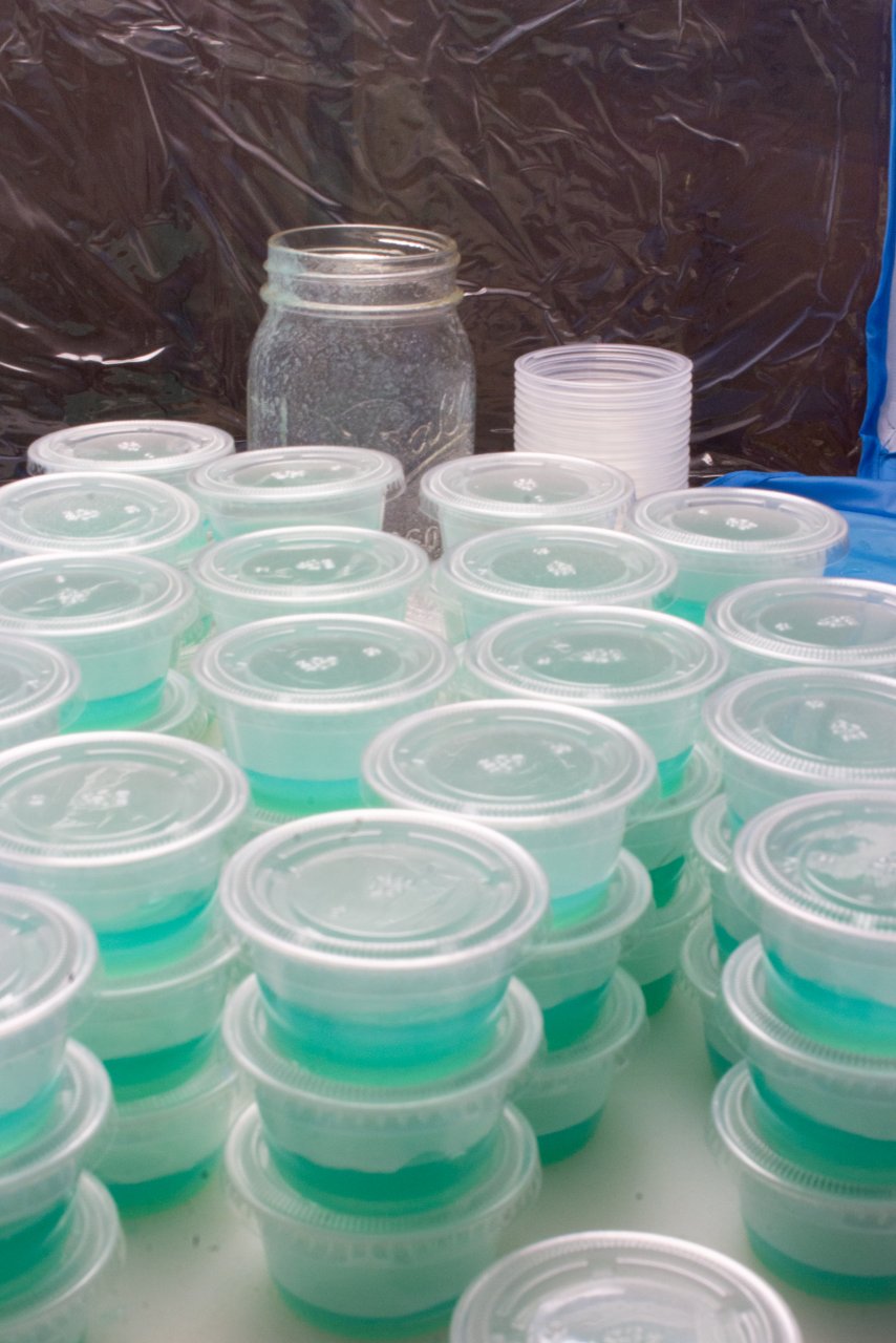 Agar plates in condiiment containers-4.jpg