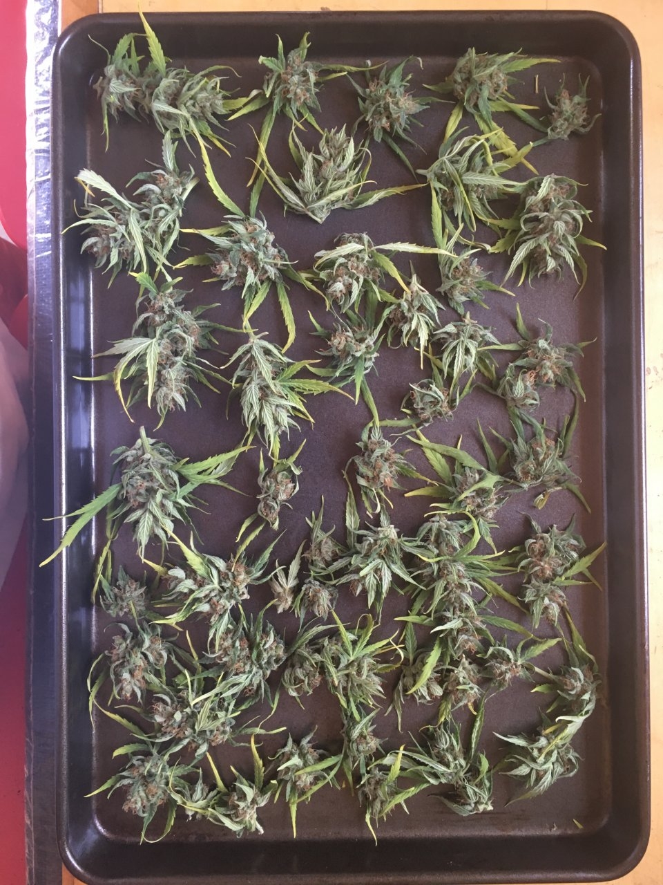 Air drying buds