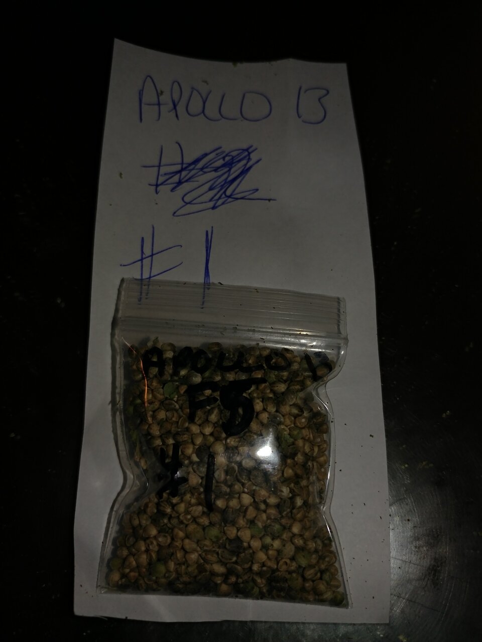 Apollo 13 strain icemud seed project cannabis marijuana (1).jpg