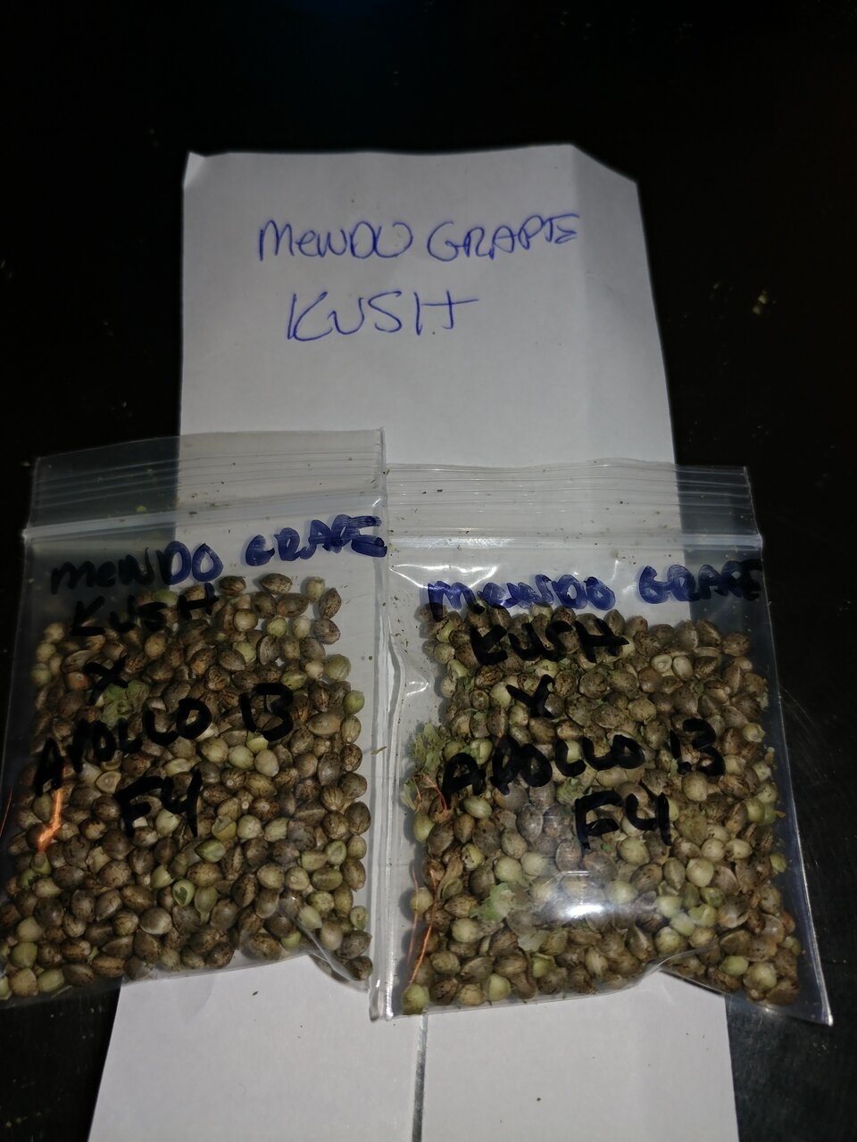 Apollo 13 strain icemud seed project cannabis marijuana (3).jpg