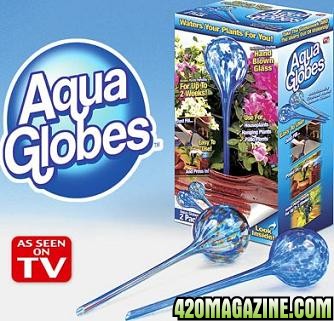 aqua_globes_plant_watering_system-