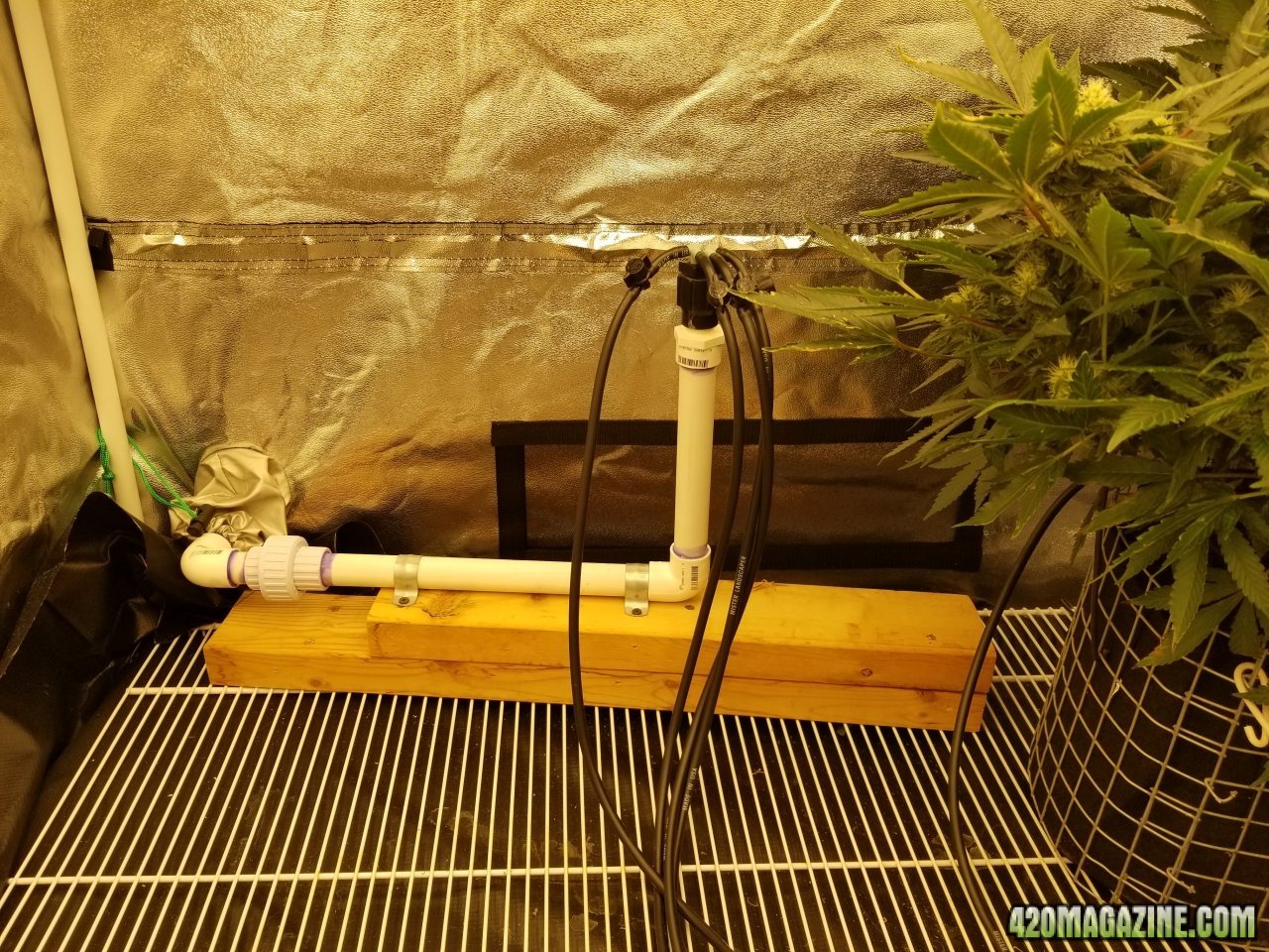 Auto watering system man.jpg