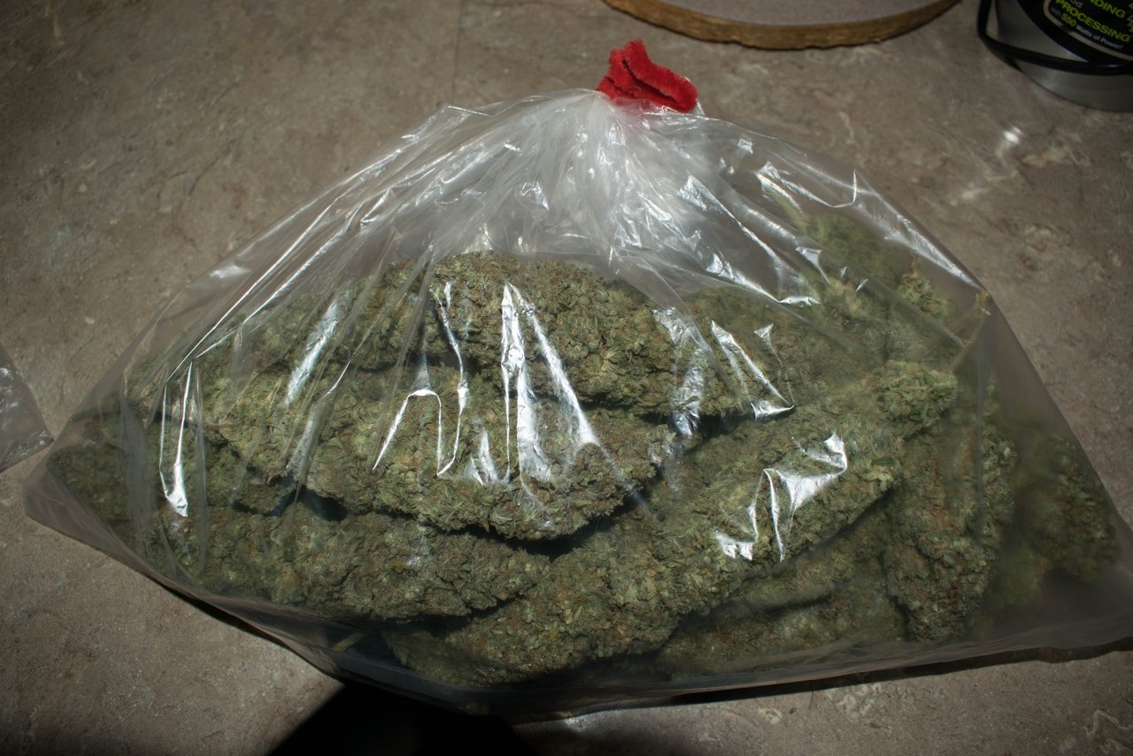 Bagged and ready