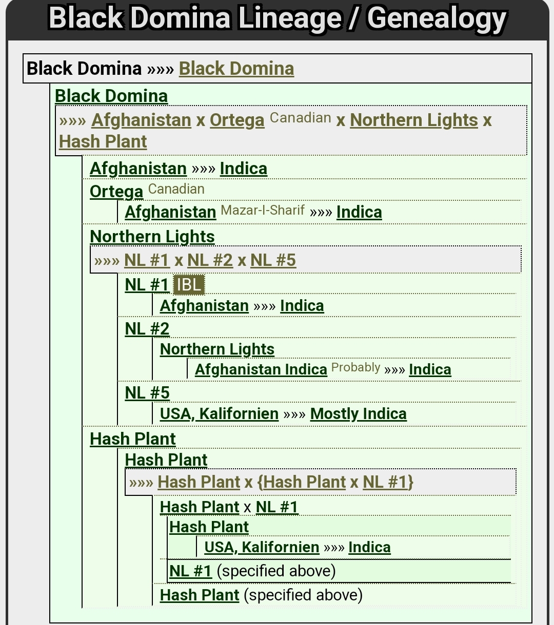 Black Domina-Lineage